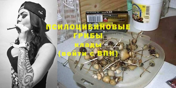 ешки Ачинск